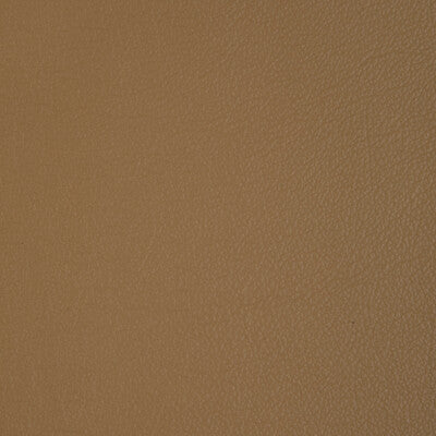 Santos Stripe Fabric