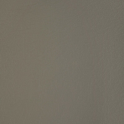 Santos Stripe Fabric