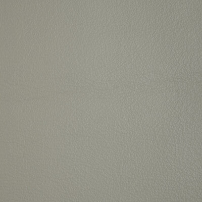 Santos Stripe Fabric