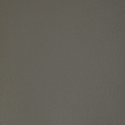 Santos Stripe Fabric