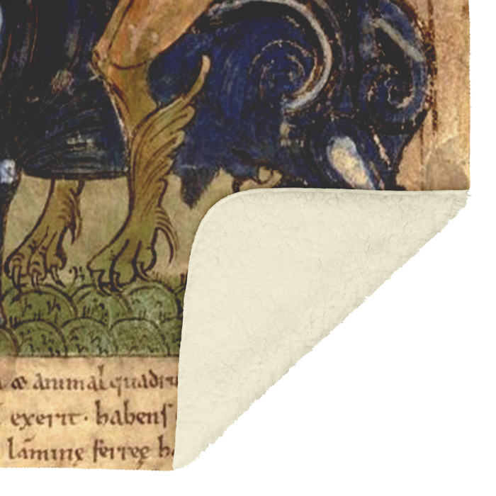 Satan_upon_Behemoth_Medieval_Blanket_V_Blanket_Sherpa_Mockup.png
