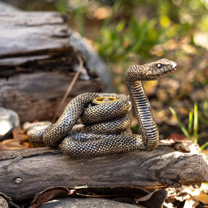 Snake coiled on a log with a natural background
