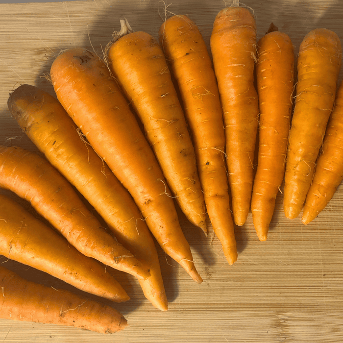Shin Kuroda Carrot