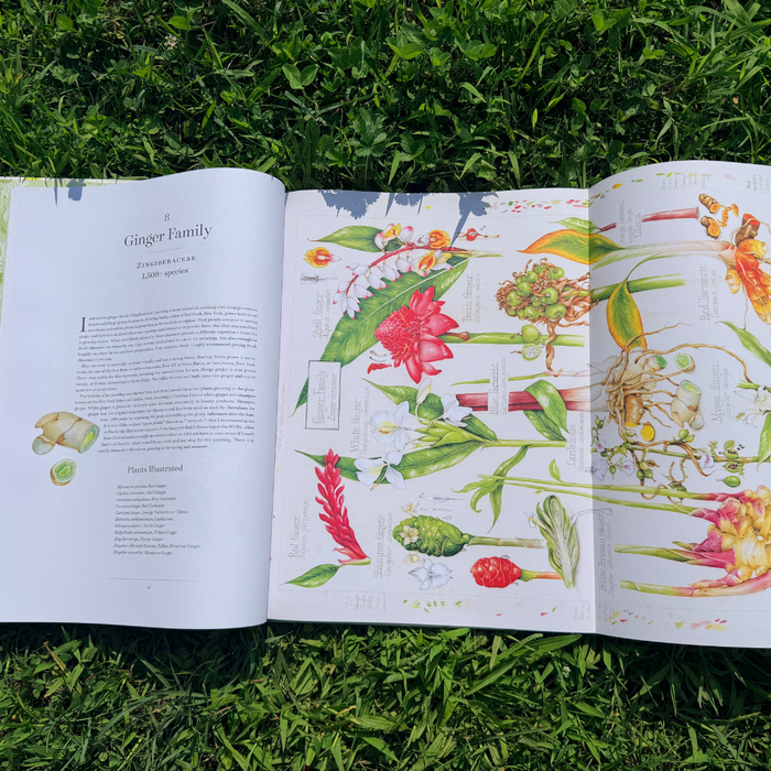 The Album of Plant Families