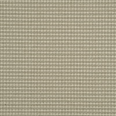 Threads Avani