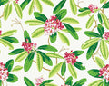 Tor Fabric