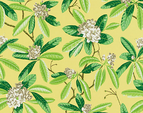 Tor Fabric