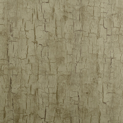 Tree Bark