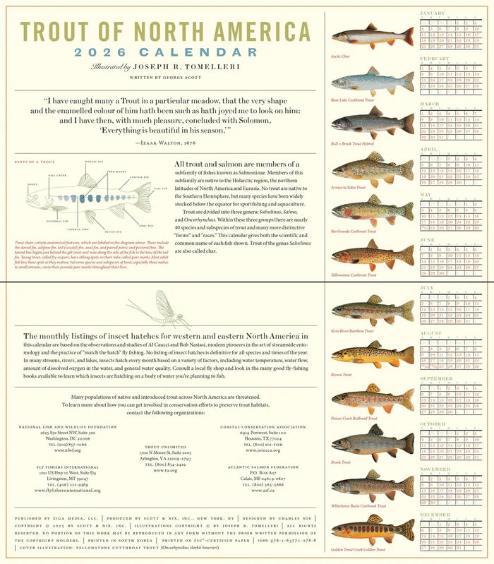 Trout of North America Wall Calendar 2026