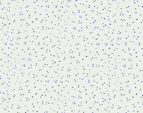 VAN WALLCOVERING
