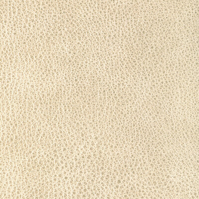 Vendome Strie Silk Velvet Fabric