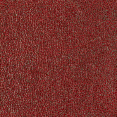 Vernay Print Fabric