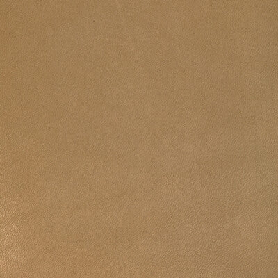 Viceroy Strie Ii Fabric