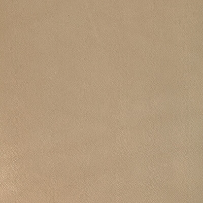 Viceroy Strie Ii Fabric