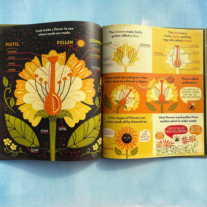 What's Inside a Flower?