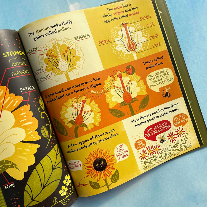 What's Inside a Flower?