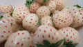 White Carolina Strawberry