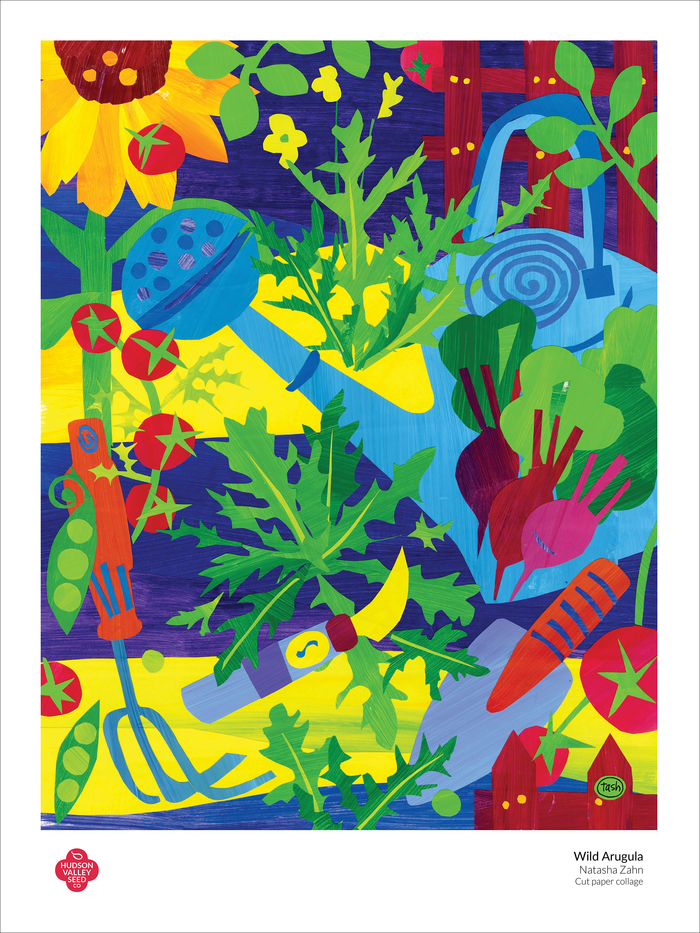 Wild Arugula Mix Fine Art Poster