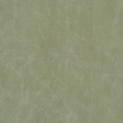 Xian Linen & Cotton Print Fabric