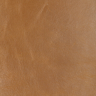 Zarafa Cotton Print Fabric
