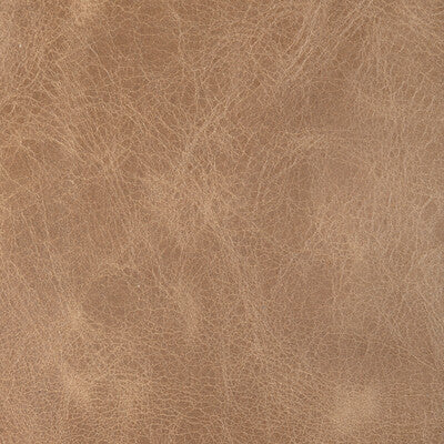 Zarafa Cotton Print Fabric