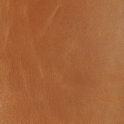 Zarafa Cotton Print Fabric